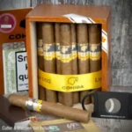 Cohiba Robustos Single | Authentic Cuban Cigar UK