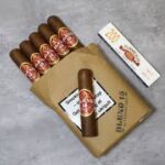 AJ Fernandez Blend 15 Short Robusto Cigar UK