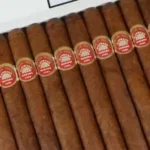 H Upmann Majestic Box 25 Cuban cigars – mild medium Crema 5.5 x 40