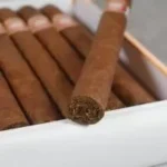 Buy H Upmann Majestic cigar single online UK. Mild-medium Cuban Crema (5½" x 40) with cedar, cream & nut notes. Genuine handmade Havana. Fast discreet delivery.