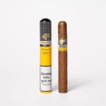 Cohiba Siglo II single Cuban cigar