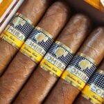 Cohiba Exquisitos 5 Pack Cuban Cigars