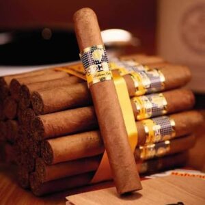 Cohiba Siglo II single Cuban cigar