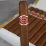 Romeo y Julieta Mille Fleurs single Cuban cigar