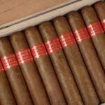 Buy genuine Partagas D4 cigar UK – Serie D No. 4 single. Full-bodied Cuban robusto with rich earth, leather & spice notes. Discreet packaging. 18+ only.