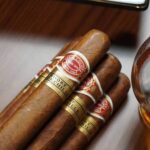 Buy Romeo Short Churchill single – medium strength Cuban robusto. Sweet cedar, honey & dried fruit notes. Discreet UK delivery. Shop now.