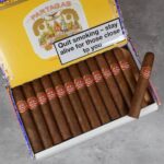 Partagas Shorts Cuban cigar single – authentic full-bodied Habano for UK delivery