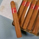 Montecristo Joyitas single Cuban cigar