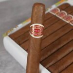 Romeo Petit Coronas single Cuban cigar