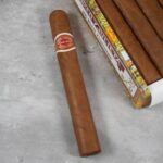 Romeo Petit Coronas single Cuban cigar